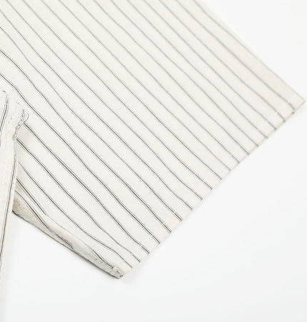 Vertical Stripe Embroidered Shirt