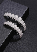 10-tooth silver picture upper teeth Note: Only single upper teeth are issued under the order