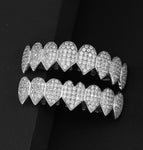 picture of heart-shaped pointed silver upper and lower teeth